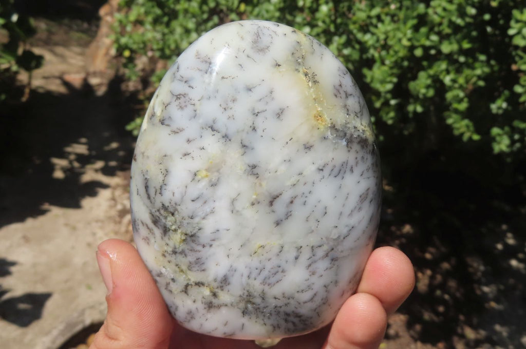 Polished Dendritic Opal Standing Free Forms x 3 From Madagascar - Toprock Gemstones and Minerals 