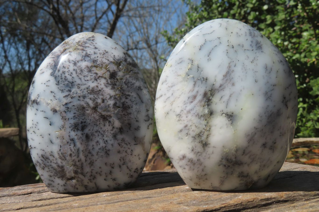 Polished Dendritic Opal Standing Free Forms x 3 From Madagascar - Toprock Gemstones and Minerals 