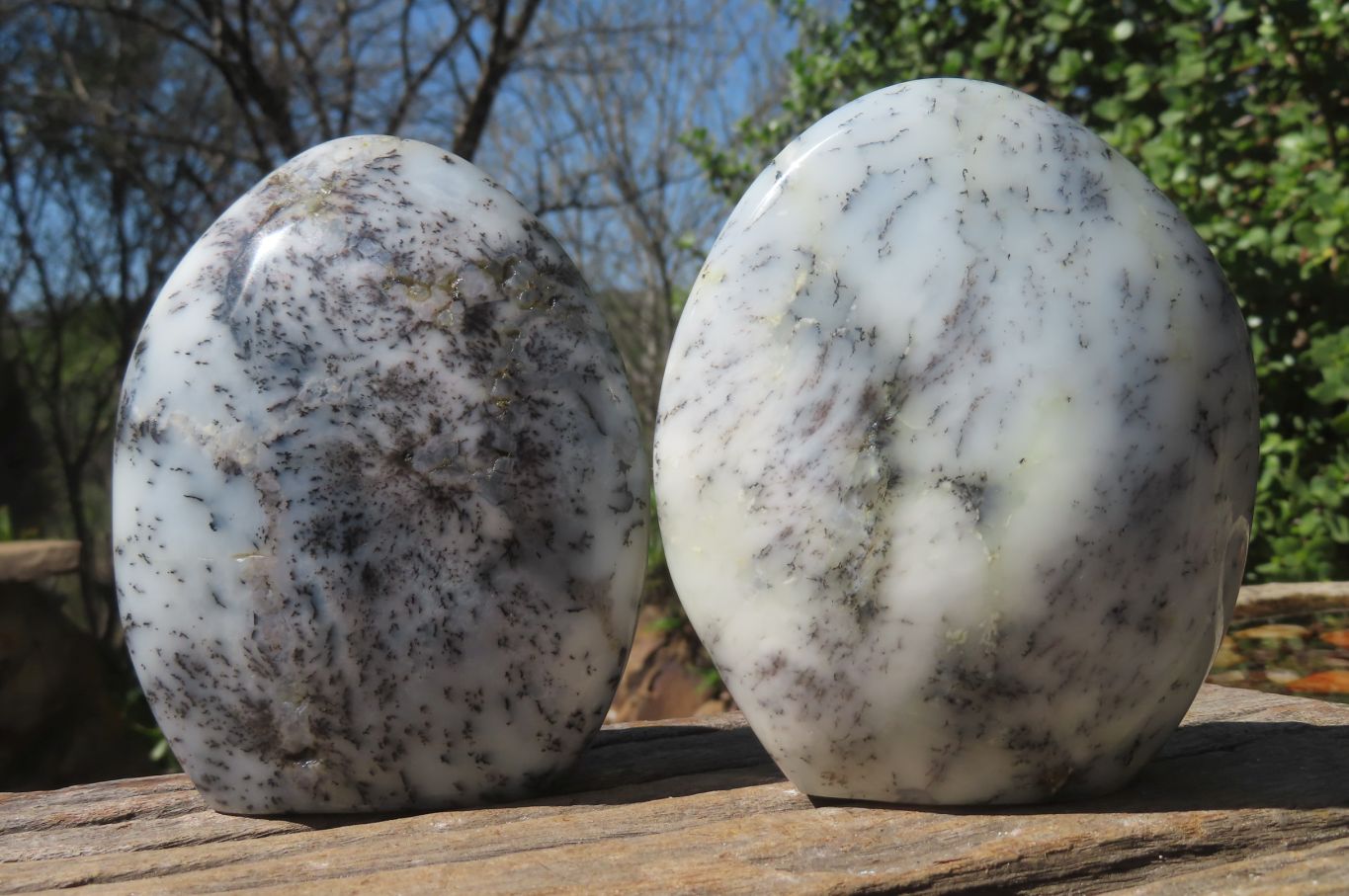 Polished Dendritic Opal Standing Free Forms x 3 From Madagascar - Toprock Gemstones and Minerals 