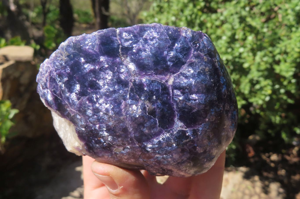 Polished & Natural Assortment Of Retail Items x 6 From Southern Africa - Toprock Gemstones and Minerals 