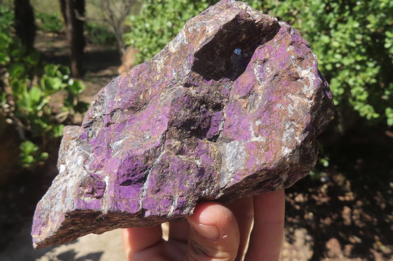 Polished & Natural Assortment Of Retail Items x 6 From Southern Africa - Toprock Gemstones and Minerals 