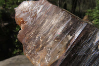 Natural Smokey Quartz With Feldspar Crystal x 1 From Zomba, Malawi - Toprock Gemstones and Minerals 