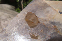Natural Smokey Quartz With Feldspar Crystal x 1 From Zomba, Malawi - Toprock Gemstones and Minerals 