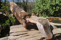 Natural Smokey Quartz With Feldspar Crystal x 1 From Zomba, Malawi - Toprock Gemstones and Minerals 
