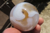Polished Banded Agate Spheres x 6 From Madagascar - Toprock Gemstones and Minerals 