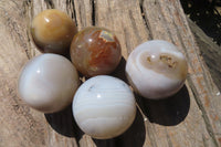 Polished Banded Agate Spheres x 6 From Madagascar - Toprock Gemstones and Minerals 
