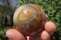 Polished Banded Agate Spheres x 6 From Madagascar - Toprock Gemstones and Minerals 