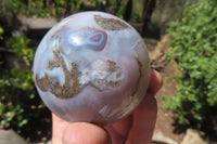 Polished Banded Agate Spheres x 6 From Madagascar - Toprock Gemstones and Minerals 