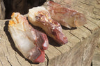 Natural Red Hematoid Quartz Crystal Specimens x 12 From Zimbabwe - Toprock Gemstones and Minerals 