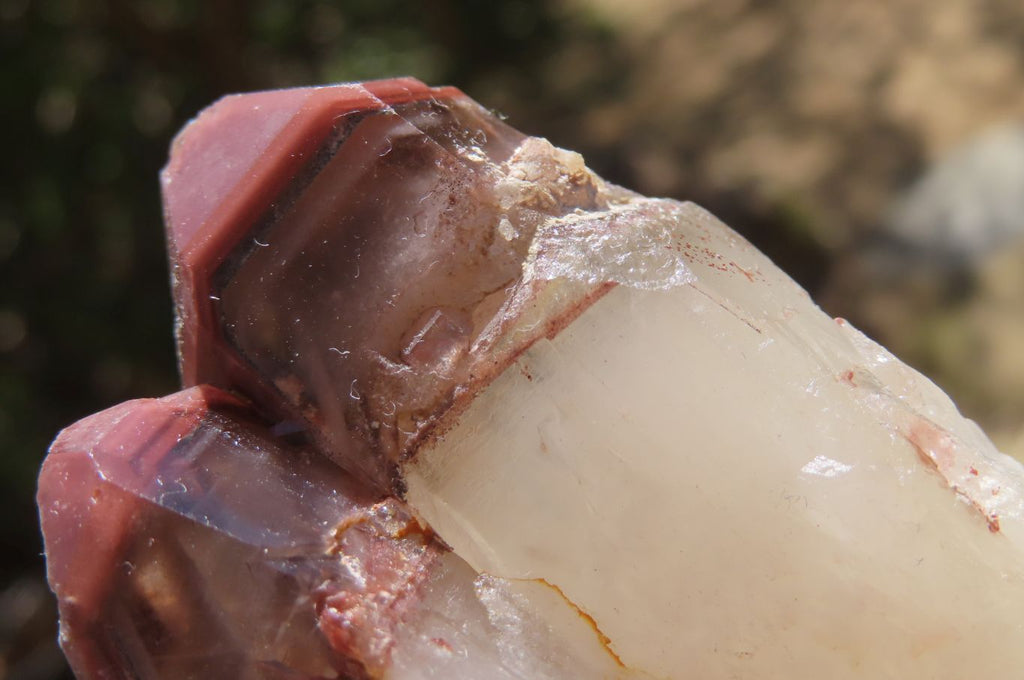 Natural Red Hematoid Quartz Crystal Specimens x 12 From Zimbabwe - Toprock Gemstones and Minerals 