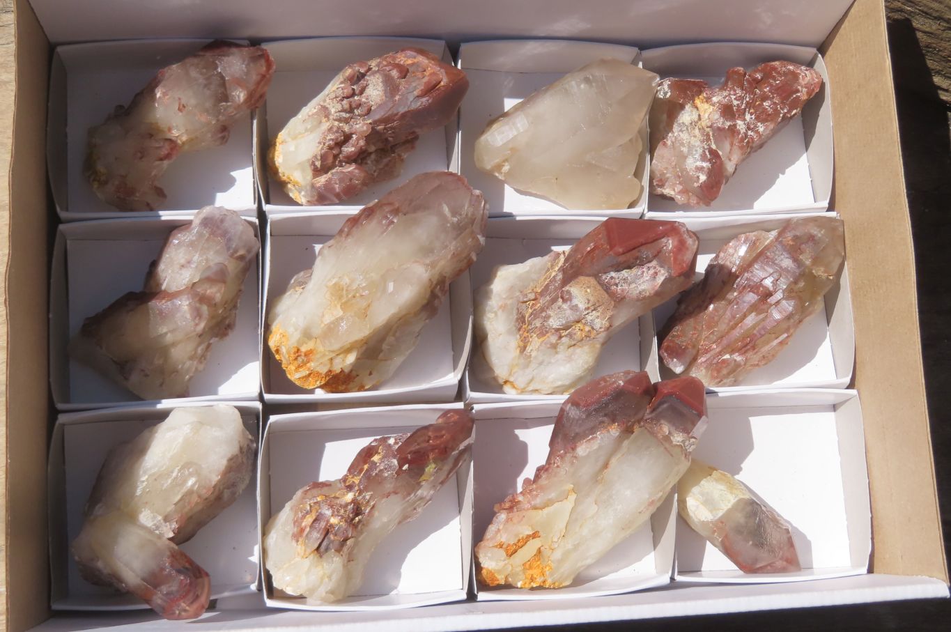 Natural Red Hematoid Quartz Crystal Specimens x 12 From Zimbabwe - Toprock Gemstones and Minerals 