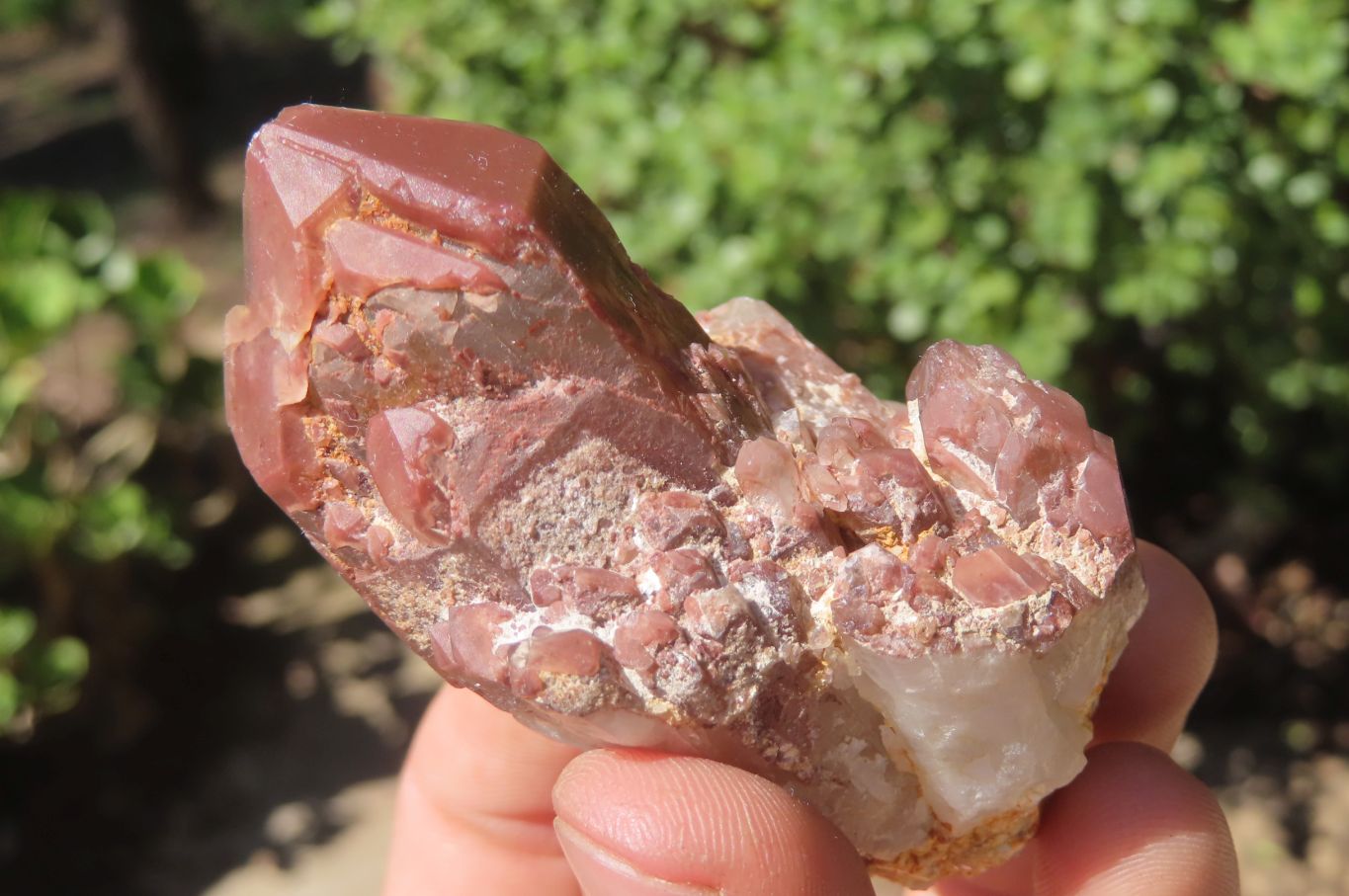 Natural Red Hematoid Quartz Crystal Specimens x 12 From Zimbabwe - Toprock Gemstones and Minerals 
