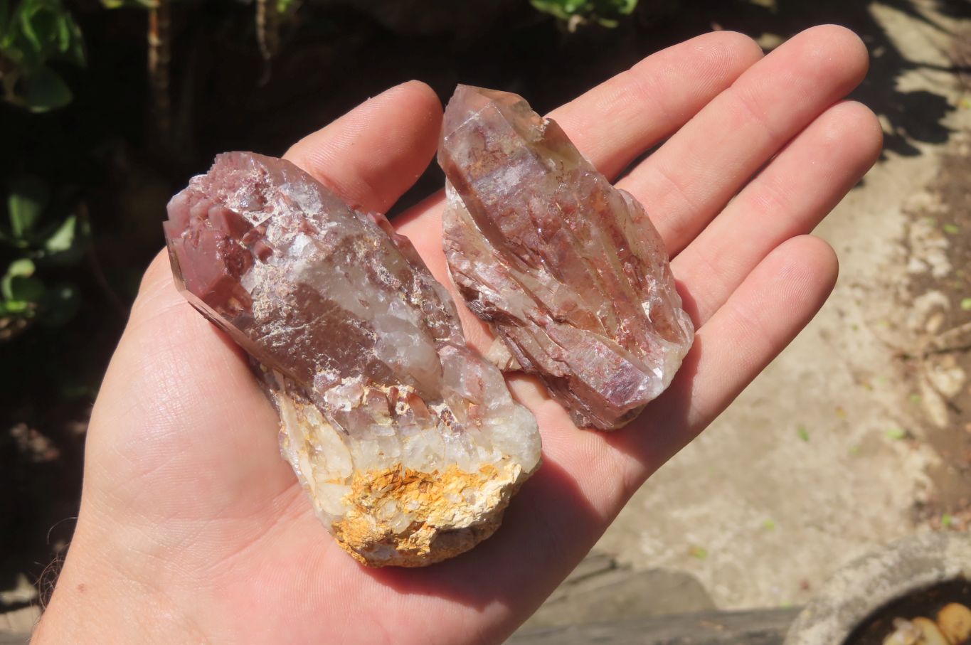 Natural Red Hematoid Quartz Crystal Specimens x 12 From Zimbabwe - Toprock Gemstones and Minerals 