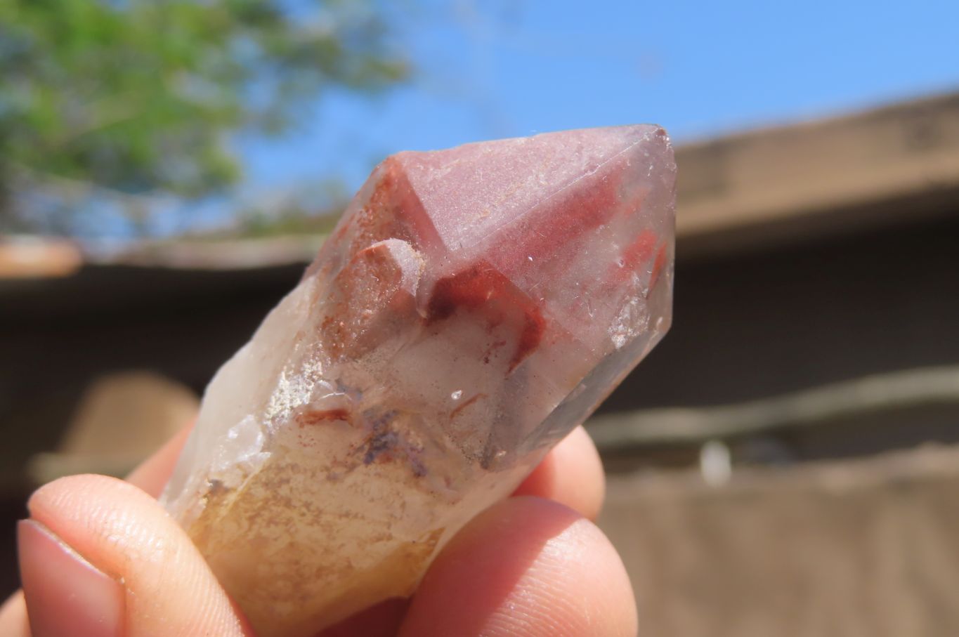 Natural Red Hematoid Quartz Crystal Specimens x 12 From Zimbabwe - Toprock Gemstones and Minerals 