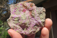 Natural Stichtite Cobbed Specimens x 12 From Barberton, South Africa
