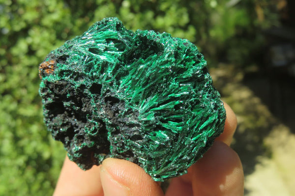 Natural Silky Malachite Specimens x 13 From Kasompe, Congo - Toprock Gemstones and Minerals 