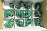 Natural Silky Malachite Specimens x 13 From Kasompe, Congo - Toprock Gemstones and Minerals 