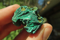 Natural Silky Malachite Specimens x 13 From Kasompe, Congo - Toprock Gemstones and Minerals 