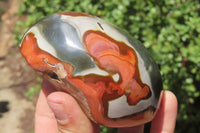 Polished On One Side Polychrome Jasper x 6 From Madagascar - Toprock Gemstones and Minerals 