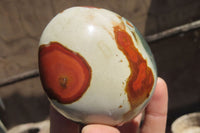 Polished On One Side Polychrome Jasper x 6 From Madagascar - Toprock Gemstones and Minerals 