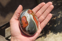 Polished On One Side Polychrome Jasper x 6 From Madagascar - Toprock Gemstones and Minerals 