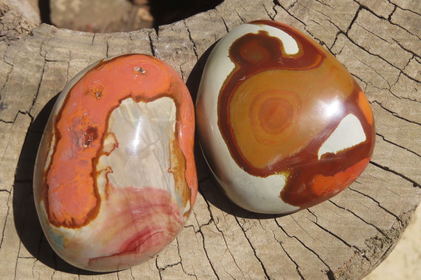 Polished On One Side Polychrome Jasper x 6 From Madagascar - Toprock Gemstones and Minerals 