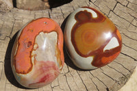 Polished On One Side Polychrome Jasper x 6 From Madagascar - Toprock Gemstones and Minerals 