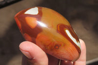 Polished On One Side Polychrome Jasper x 6 From Madagascar - Toprock Gemstones and Minerals 
