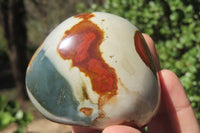 Polished On One Side Polychrome Jasper x 6 From Madagascar - Toprock Gemstones and Minerals 