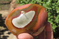Polished On One Side Polychrome Jasper x 6 From Madagascar - Toprock Gemstones and Minerals 