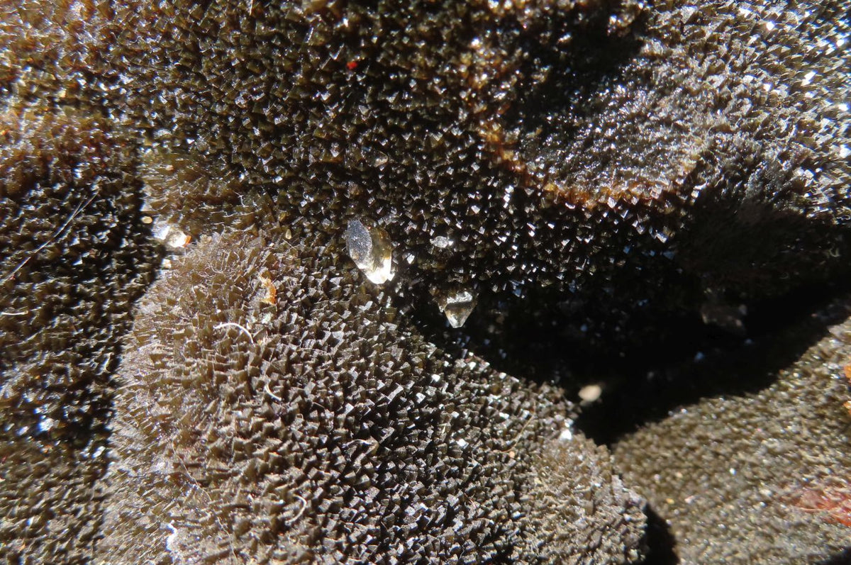 Polished Septerye Sauvage "Dragons" Egg Geode x 1 From Madagascar - Toprock Gemstones and Minerals 