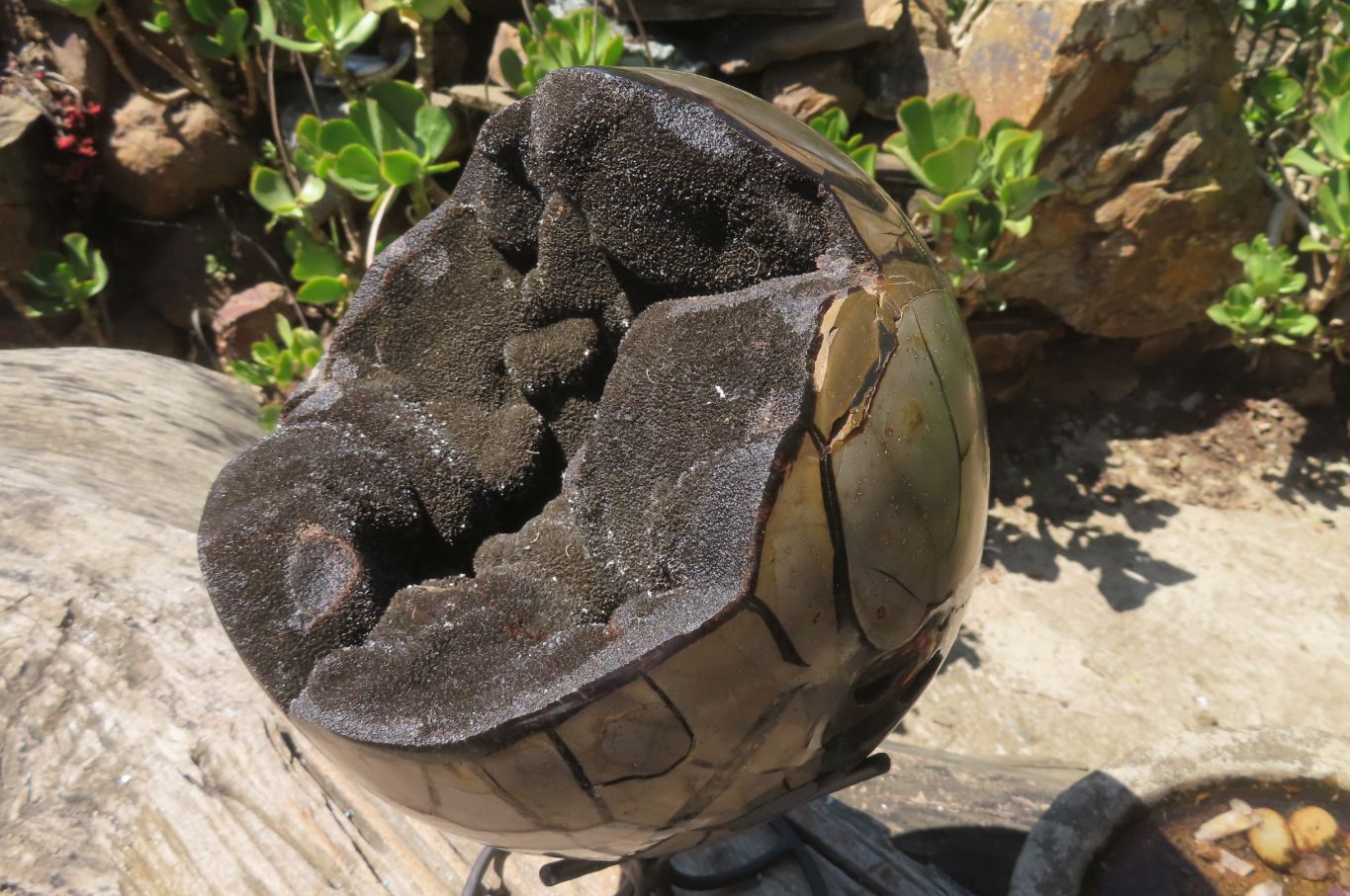 Polished Septerye Sauvage "Dragons" Egg Geode x 1 From Madagascar - Toprock Gemstones and Minerals 