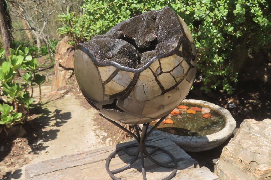 Polished Septerye Sauvage "Dragons" Egg Geode x 1 From Madagascar - Toprock Gemstones and Minerals 