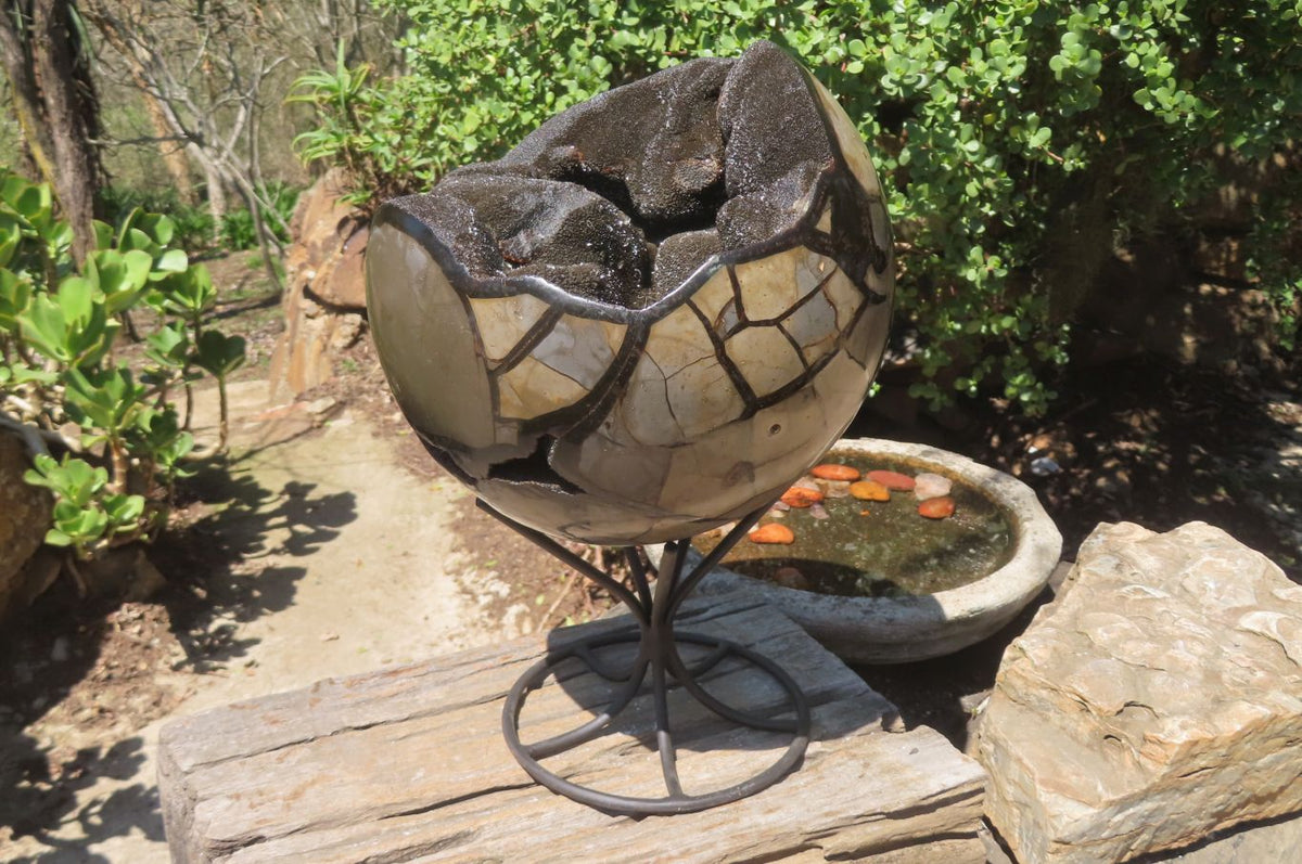 Polished Septerye Sauvage "Dragons" Egg Geode x 1 From Madagascar - Toprock Gemstones and Minerals 