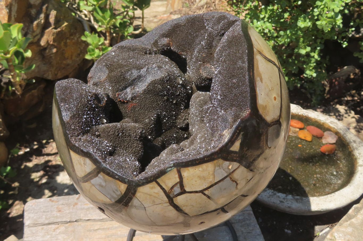 Polished Septerye Sauvage "Dragons" Egg Geode x 1 From Madagascar - Toprock Gemstones and Minerals 