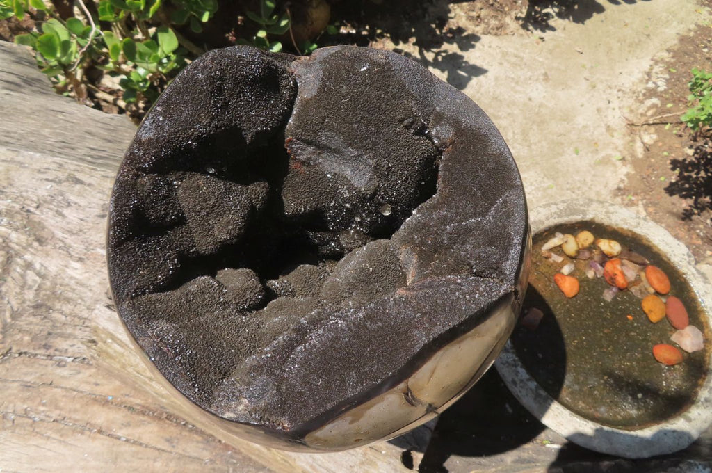 Polished Septerye Sauvage "Dragons" Egg Geode x 1 From Madagascar - Toprock Gemstones and Minerals 