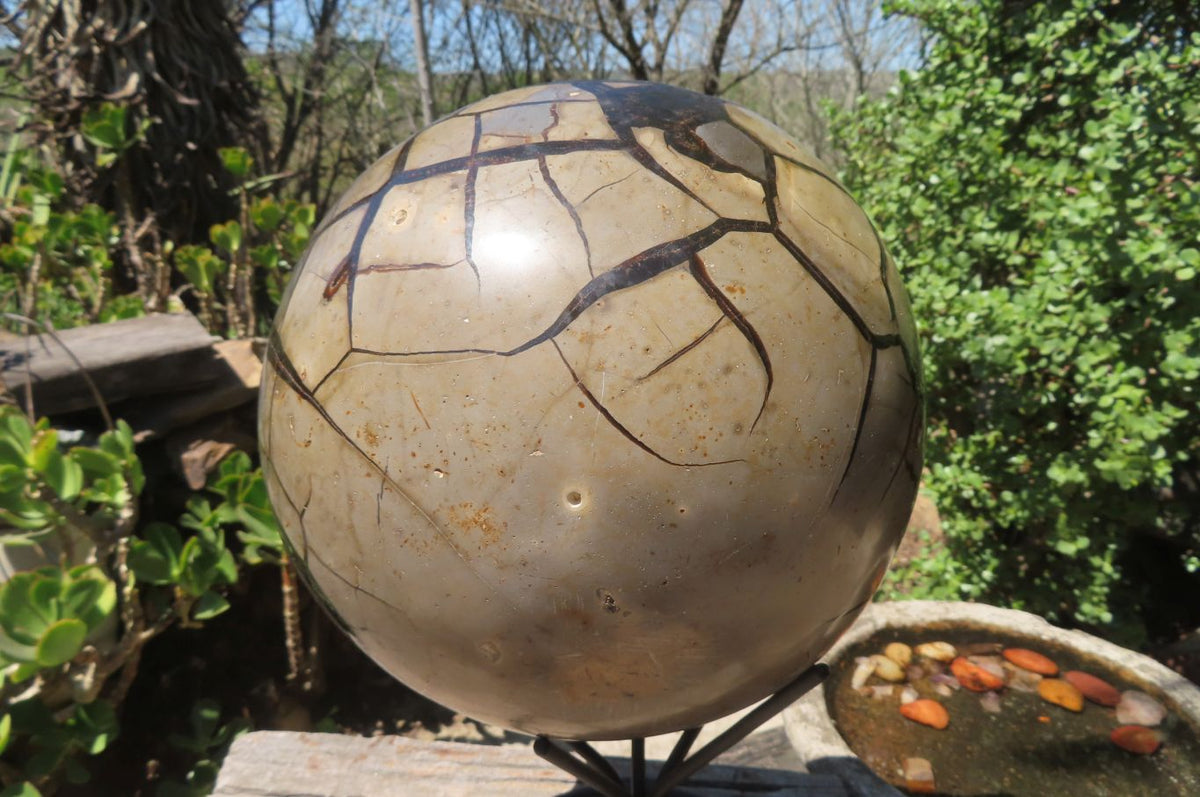 Polished Septerye Sauvage "Dragons" Egg Geode x 1 From Madagascar - Toprock Gemstones and Minerals 