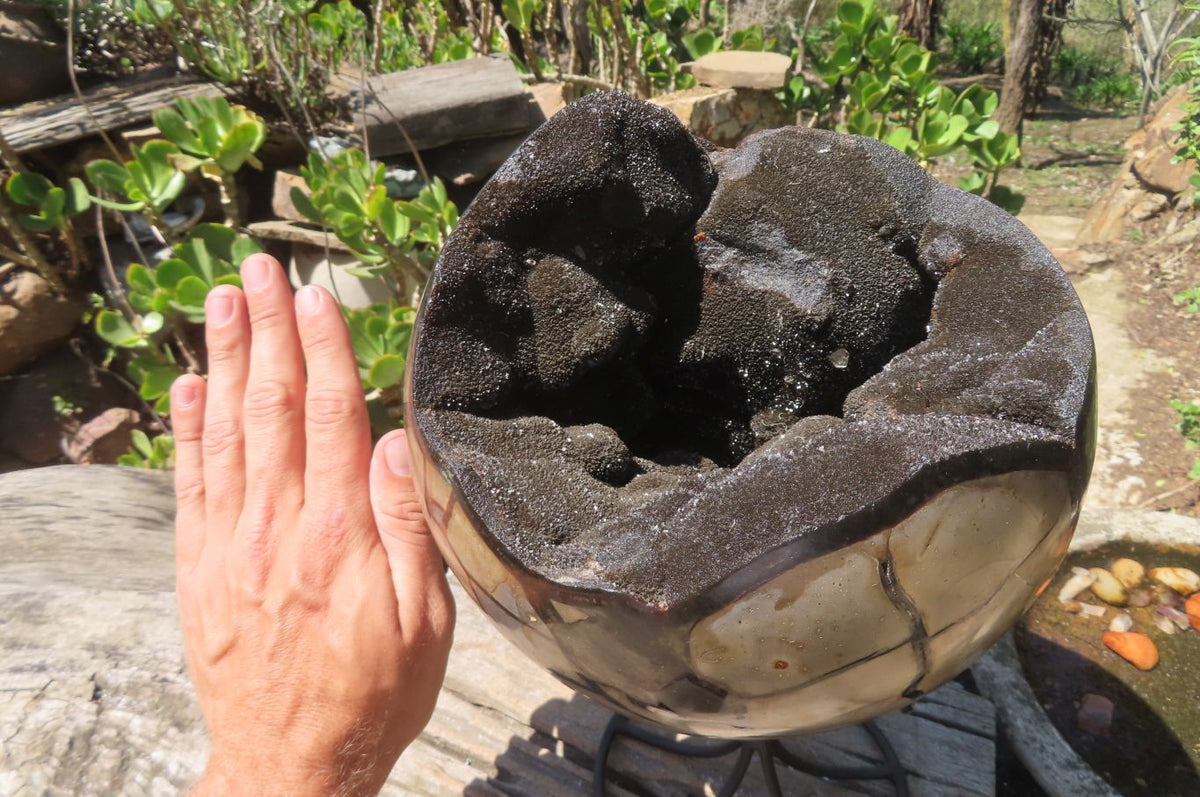 Polished Septerye Sauvage "Dragons" Egg Geode x 1 From Madagascar - Toprock Gemstones and Minerals 