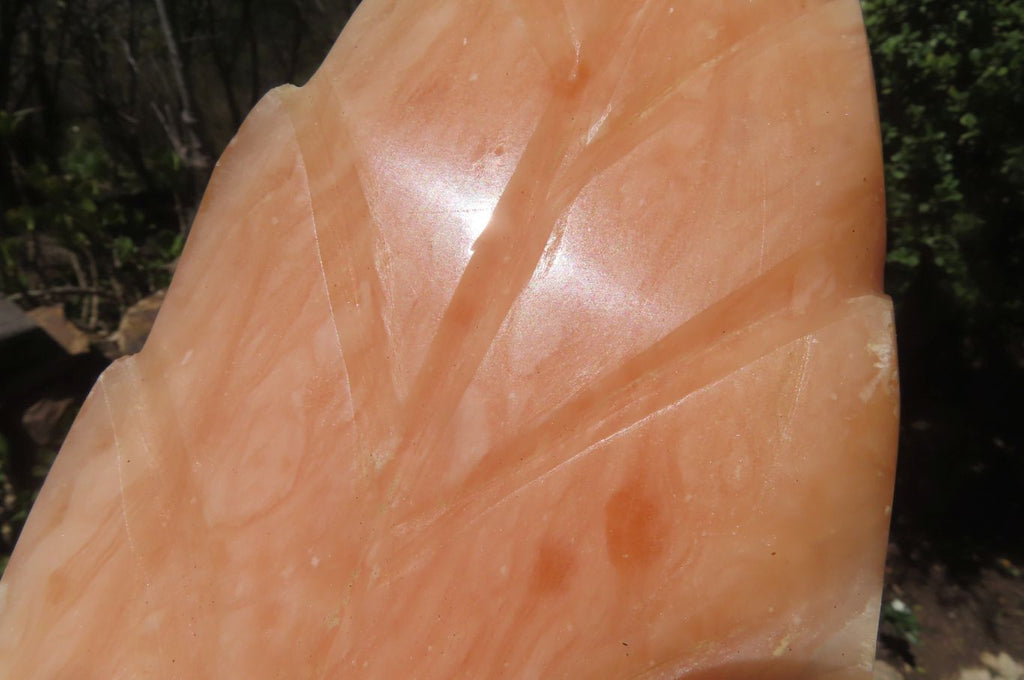 Polished Orange Twist Calcite Leaf Sculpture x 1 From Maevantanana, Madagascar - Toprock Gemstones and Minerals 