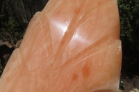 Polished Orange Twist Calcite Leaf Sculpture x 1 From Maevantanana, Madagascar - Toprock Gemstones and Minerals 
