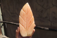 Polished Orange Twist Calcite Leaf Sculpture x 1 From Maevantanana, Madagascar - Toprock Gemstones and Minerals 