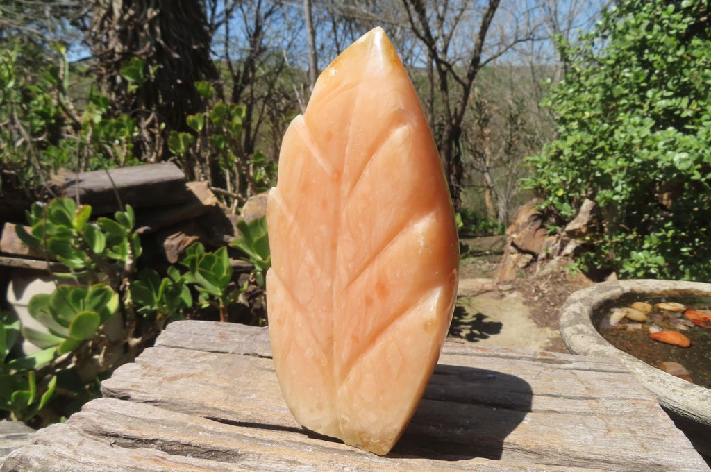 Polished Orange Twist Calcite Leaf Sculpture x 1 From Maevantanana, Madagascar - Toprock Gemstones and Minerals 