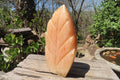 Polished Orange Twist Calcite Leaf Sculpture x 1 From Maevantanana, Madagascar - Toprock Gemstones and Minerals 