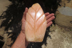 Polished Orange Twist Calcite Leaf Sculpture x 1 From Maevantanana, Madagascar - Toprock Gemstones and Minerals 