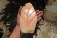 Polished Orange Twist Calcite Leaf Sculpture x 1 From Maevantanana, Madagascar - Toprock Gemstones and Minerals 