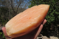 Polished Orange Twist Calcite Leaf Sculpture x 1 From Maevantanana, Madagascar - Toprock Gemstones and Minerals 
