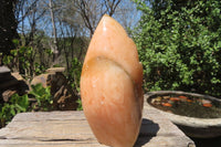 Polished Orange Twist Calcite Leaf Sculpture x 1 From Maevantanana, Madagascar - Toprock Gemstones and Minerals 