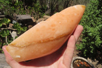 Polished Orange Twist Calcite Leaf Sculpture x 1 From Maevantanana, Madagascar - Toprock Gemstones and Minerals 