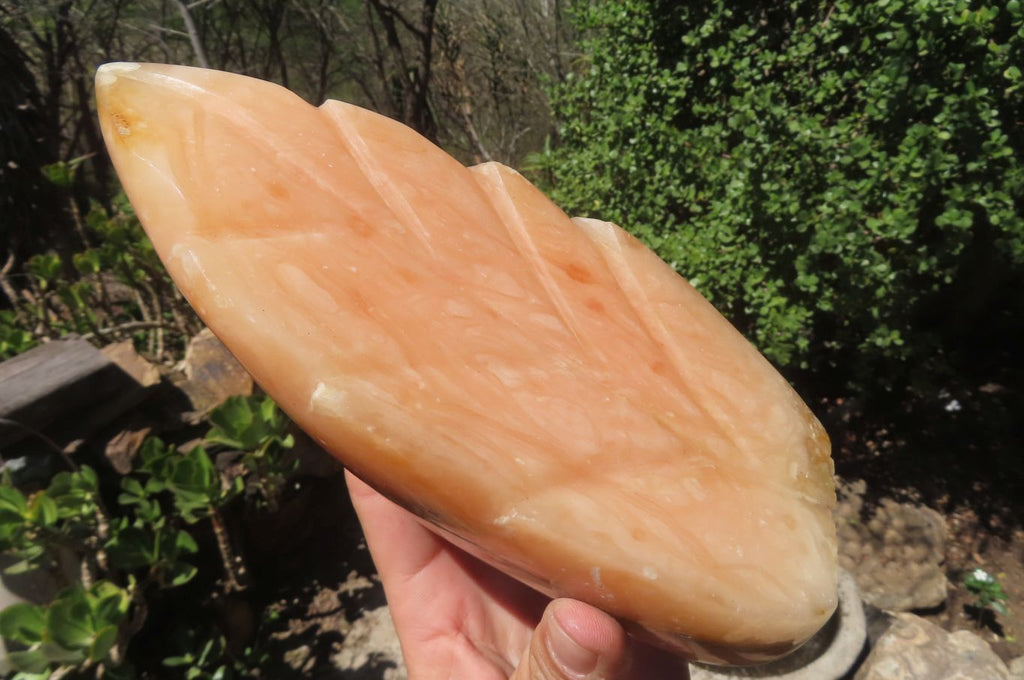 Polished Orange Twist Calcite Leaf Sculpture x 1 From Maevantanana, Madagascar - Toprock Gemstones and Minerals 