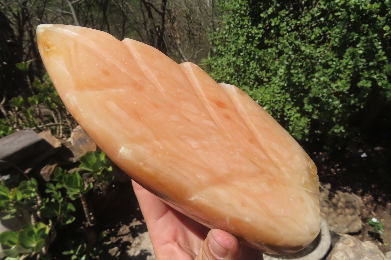 Polished Orange Twist Calcite Leaf Sculpture x 1 From Maevantanana, Madagascar - Toprock Gemstones and Minerals 